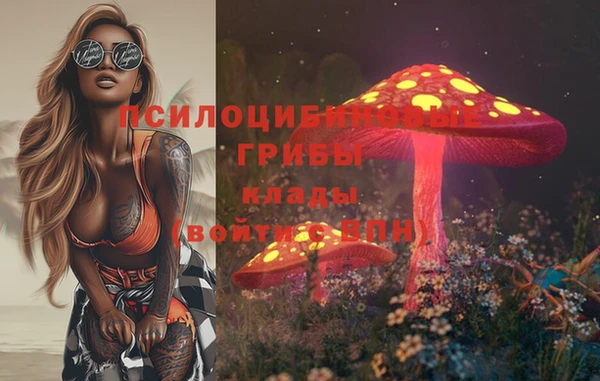 спайс Нягань