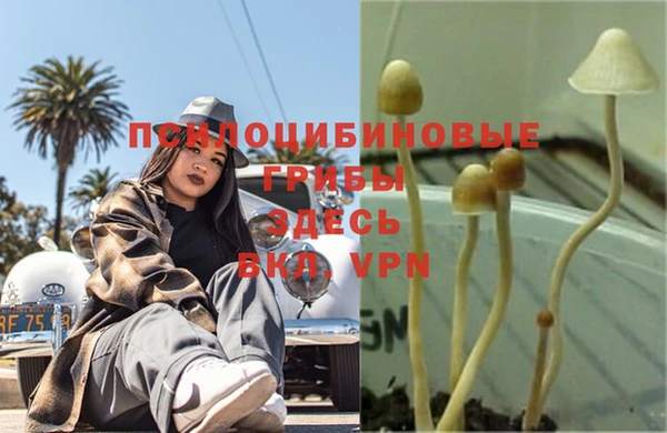 бошки Новокубанск