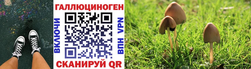 Псилоцибиновые грибы Magic Shrooms  Чехов 